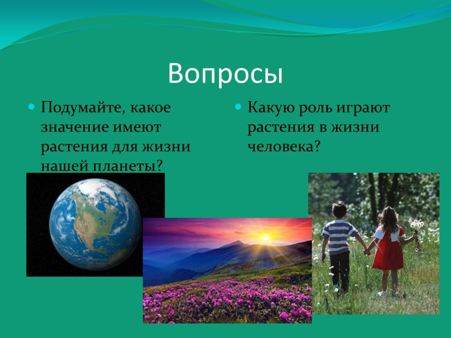 Растительный мир роль на планете
