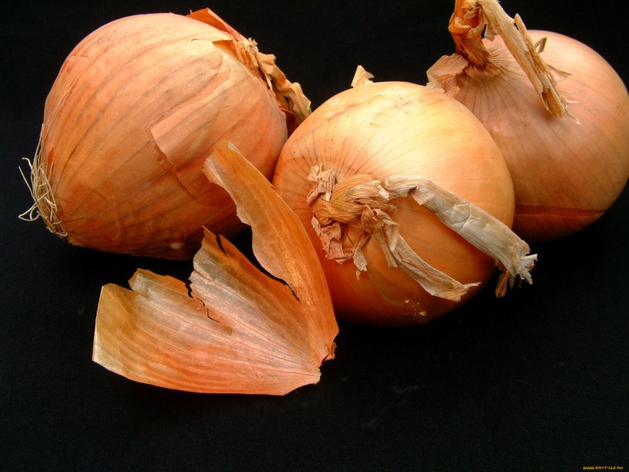 Шнитт батун