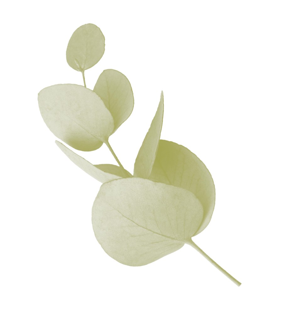 Эвкалипт паттерн