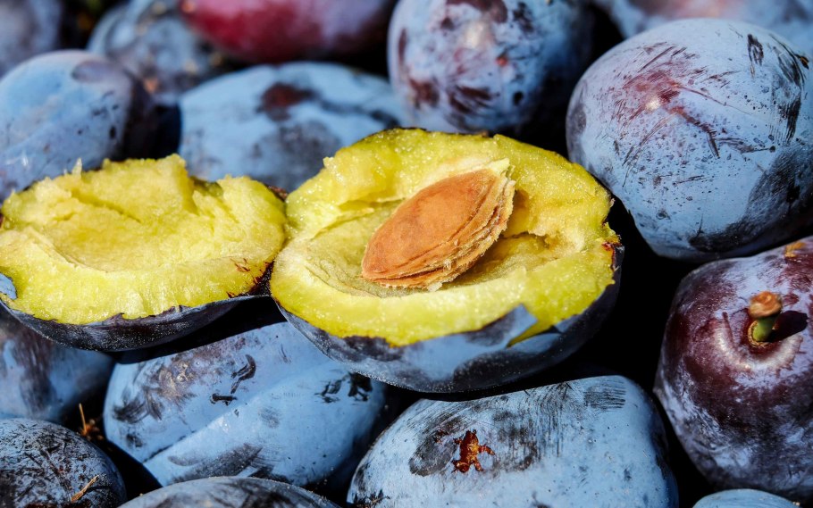 Слива фрукт