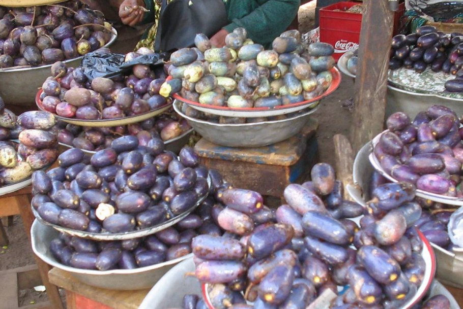 Африканская груша Дакриодес