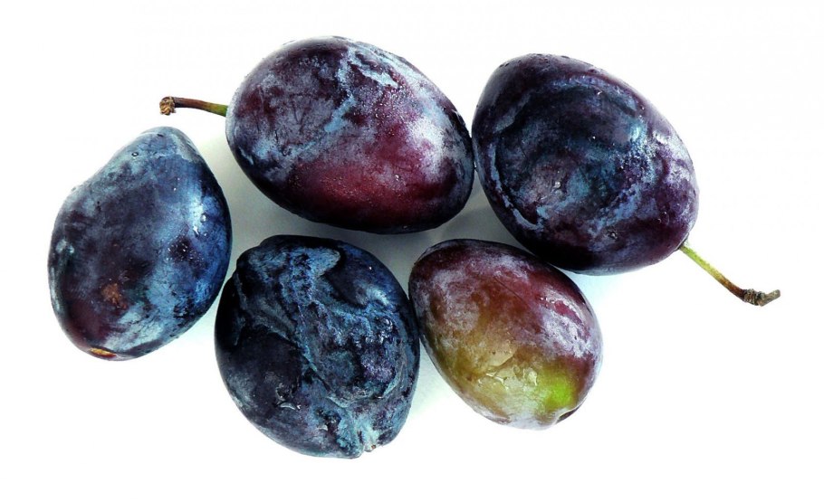 Оспа сливы шарка