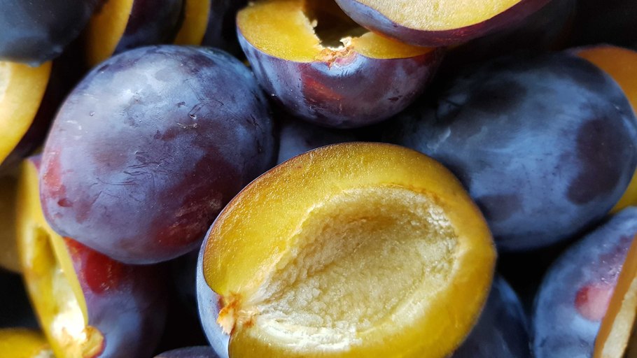 Слива синяя