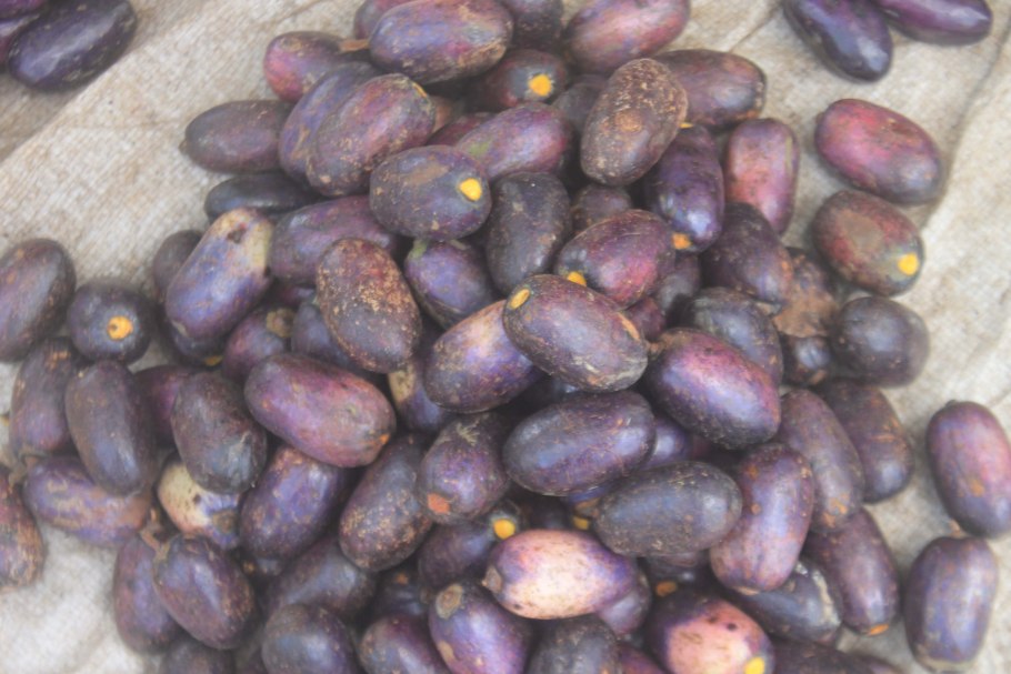 Африканская слива