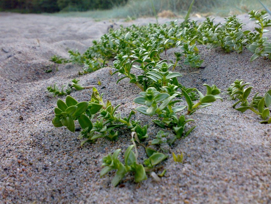 Словинский национальный парк 10