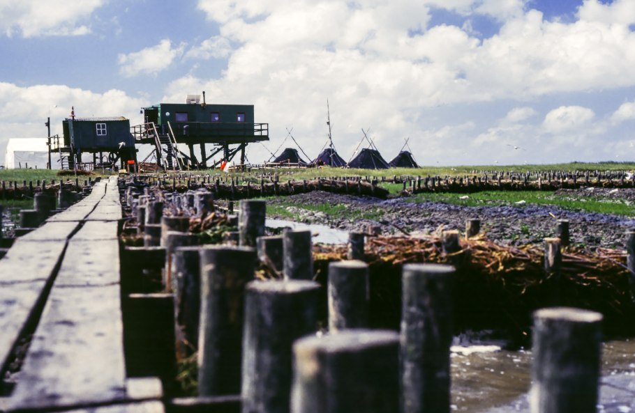 Schleswig holstein wadden sea national park