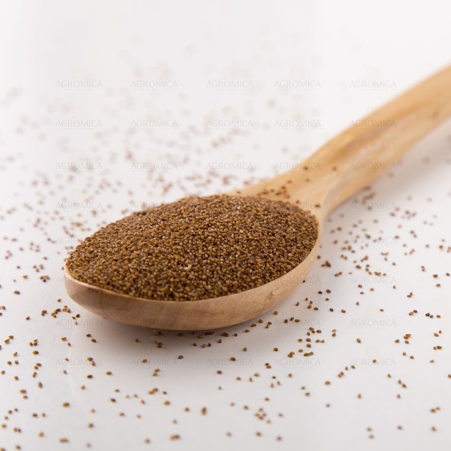 Тэфф (Полевичка Абиссинская) —