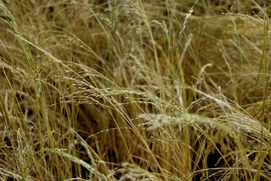 Кремнеземистая мука