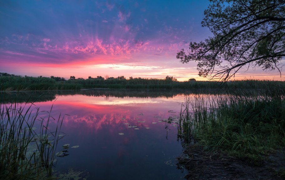 Земная гладь