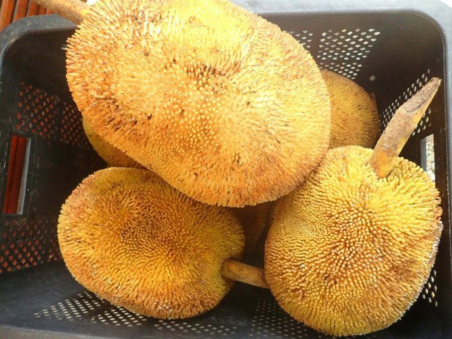 Маранг фрукт