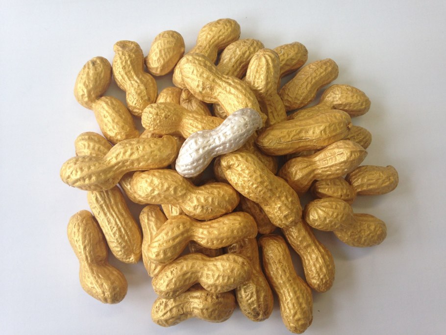 Земляной орех арахис растение