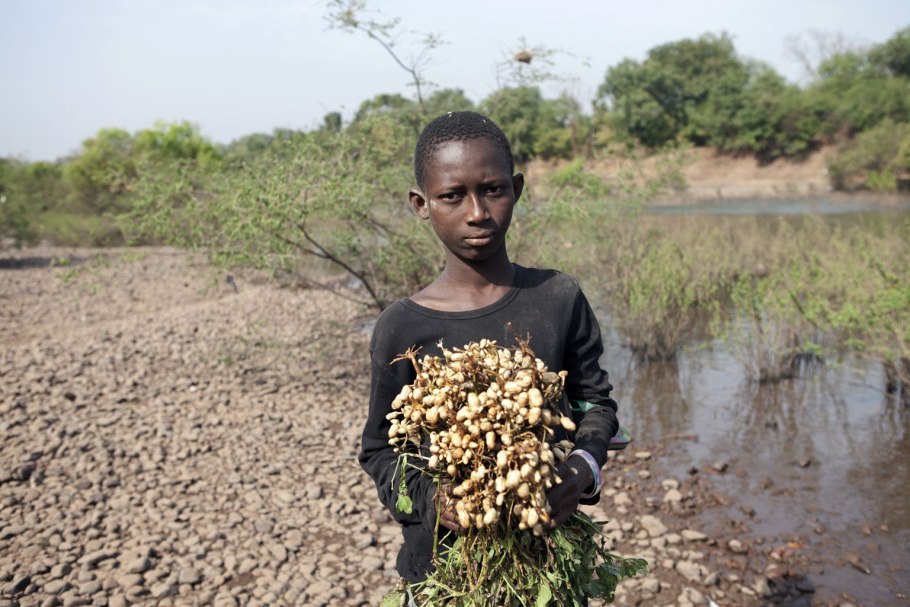 Арахис в Африке