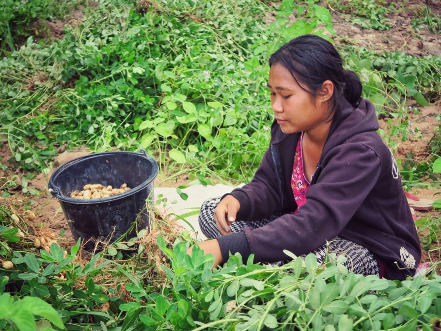 Мьянма деревни