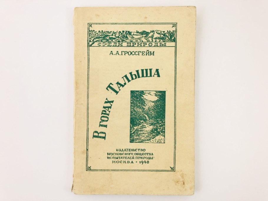 Карбюратор leader pz19jb