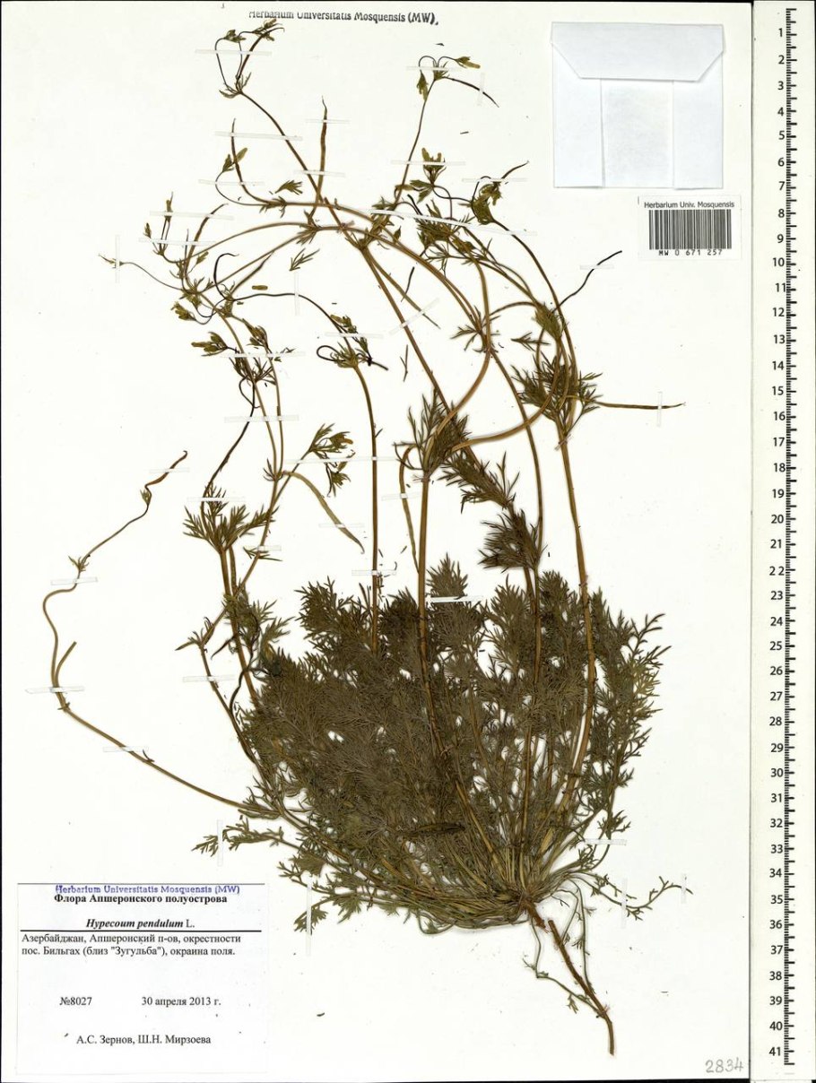 Карбюратор leader pz19jb