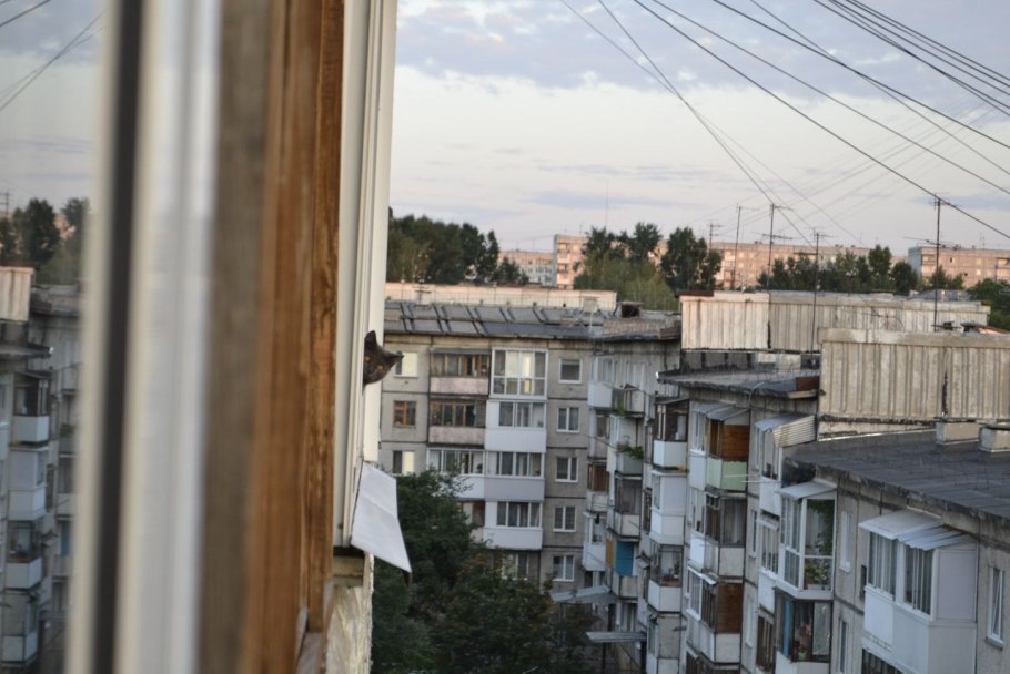 Тамариск пустыни Россия