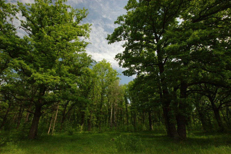 Верхний парк Швейцария