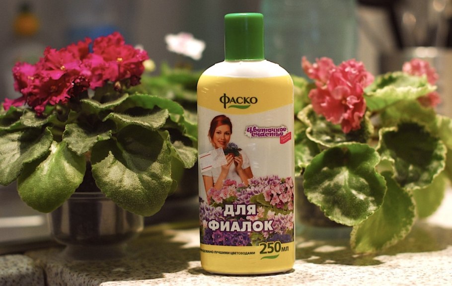 Дерево вишни не плодоносит