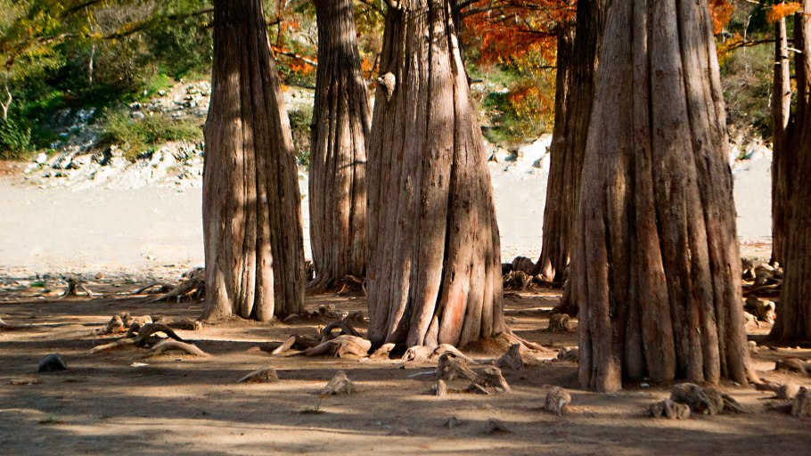 Кипарисовое озеро сукко