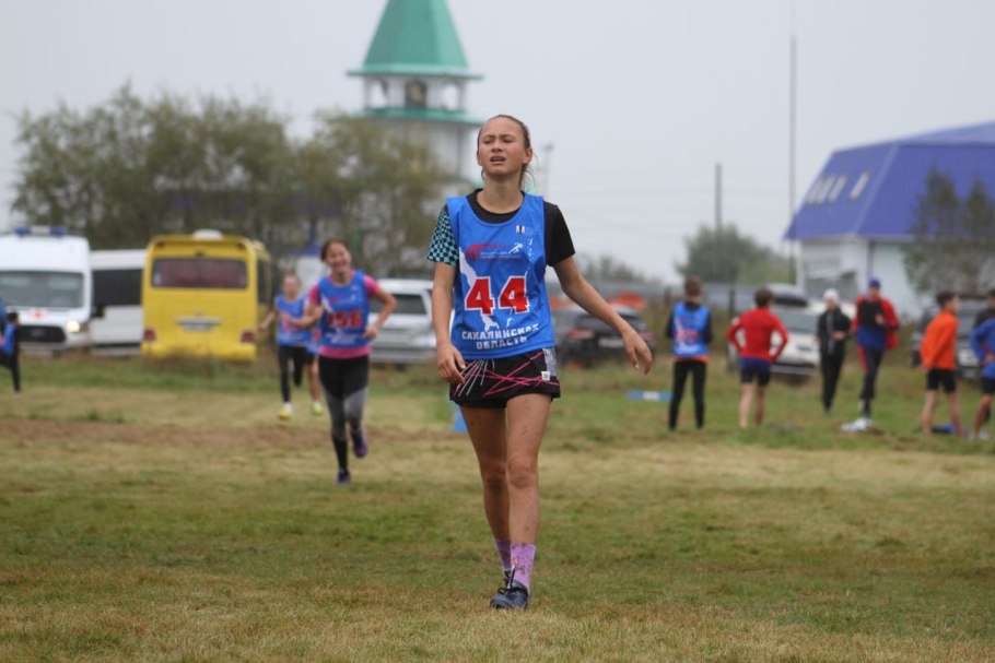 Вероника длиннолистная (Veronica longifolia)