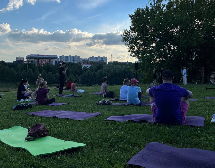 Вероника горечавковая Вариегата