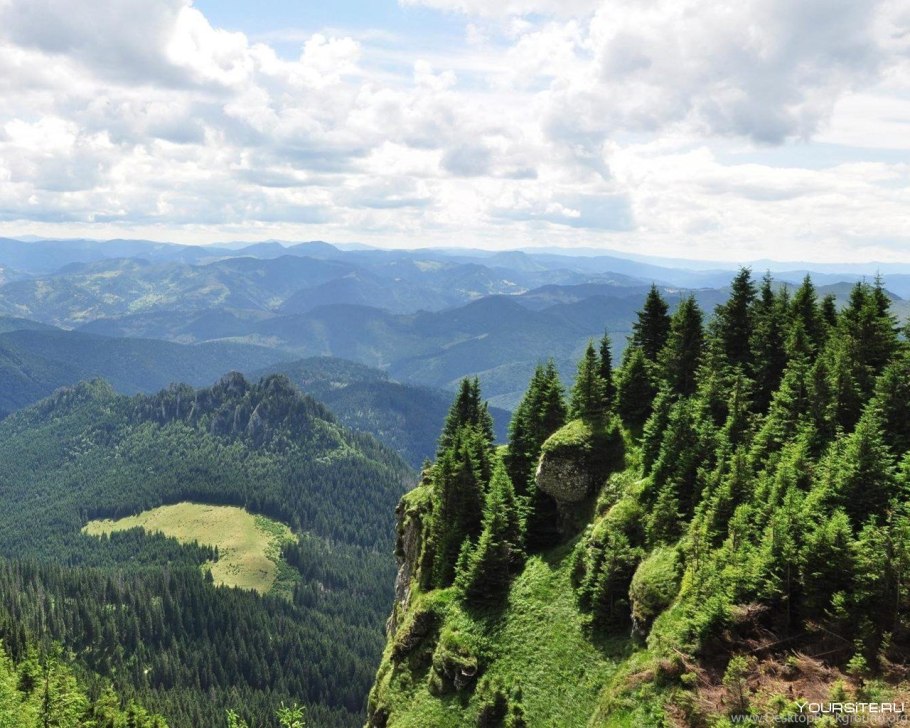 Широколиственные леса Бельгии