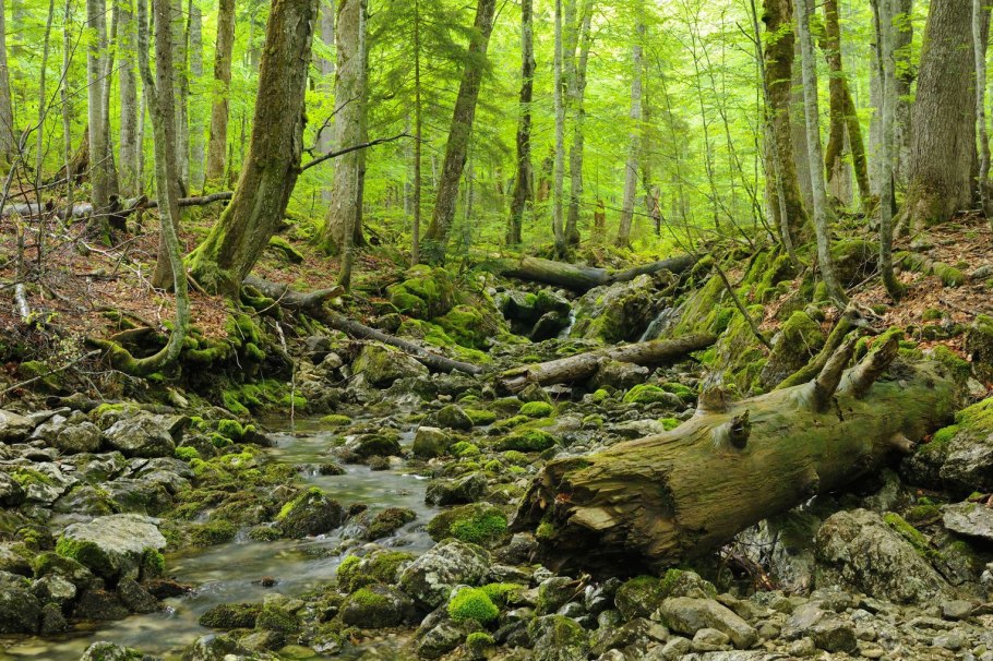 Камбрия Англия осень