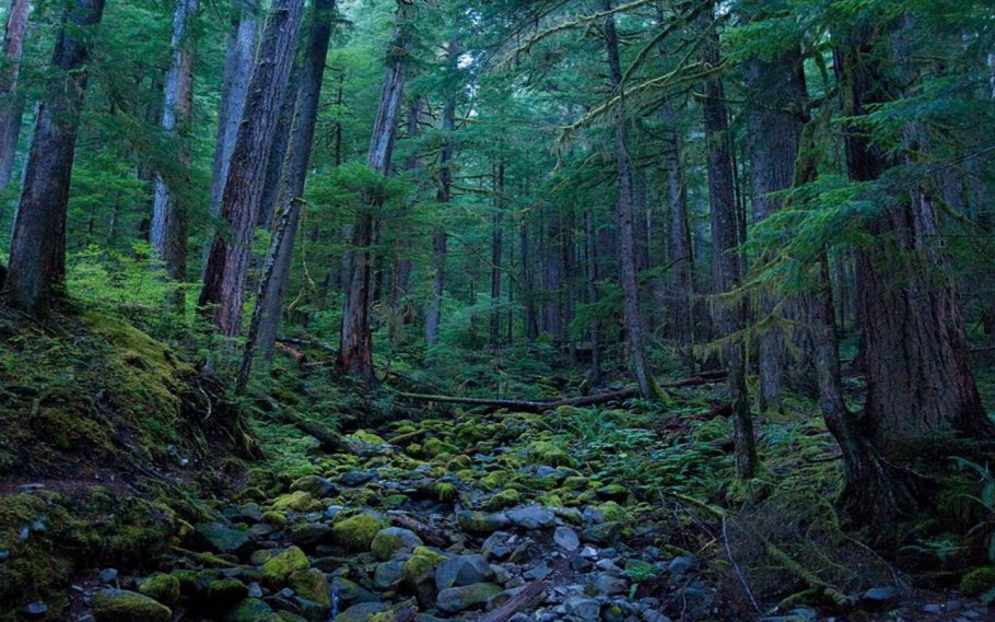 Долина Фунес Южный Тироль Италия