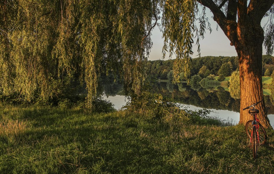 Ива (фотограф)