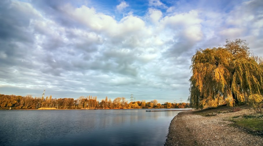 Ивы на Волге Тольятти