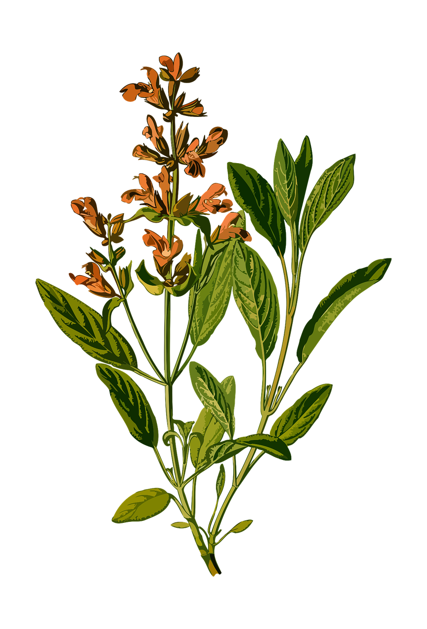 PV контроллер заряда ls1024rp