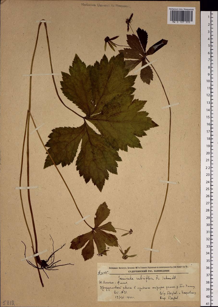 Подлесник Уральский