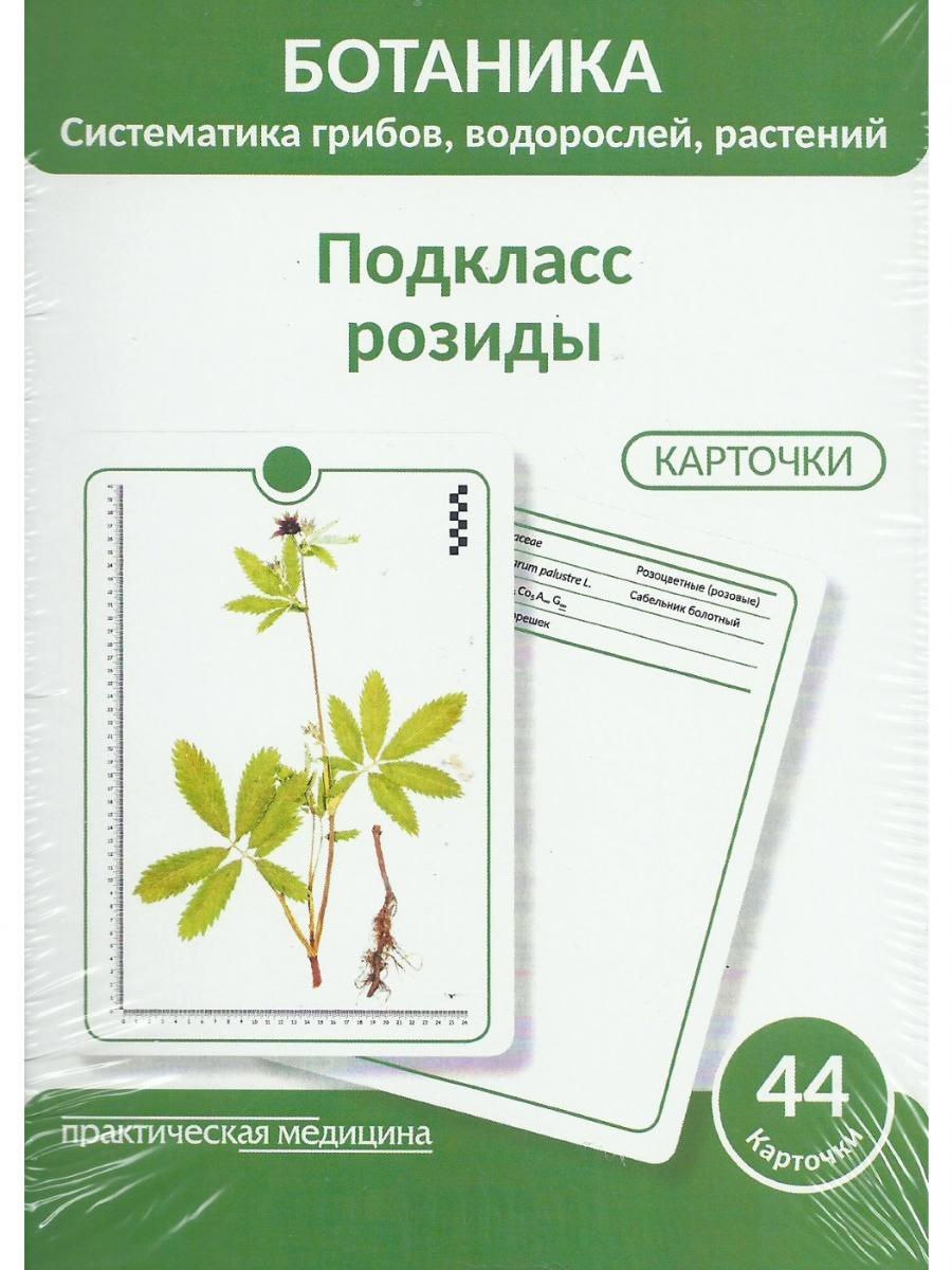 Rosaceae семейство