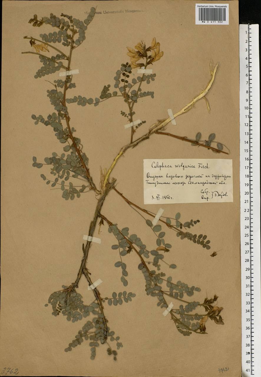 Село Мокша Самарская область