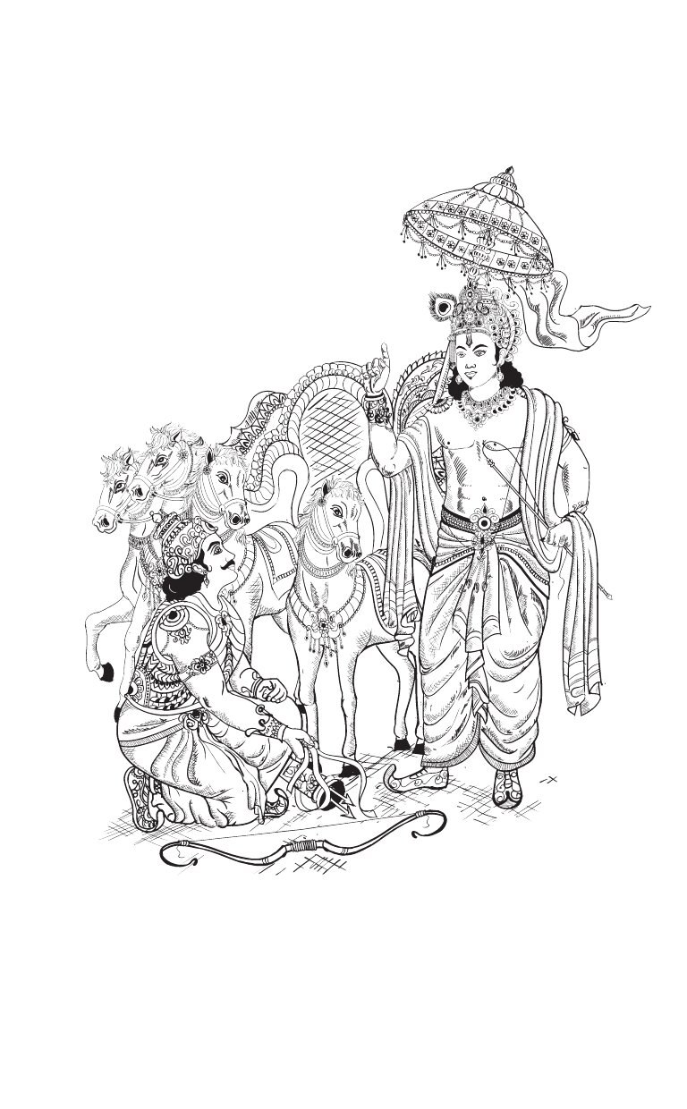 Терминалия на белом фоне