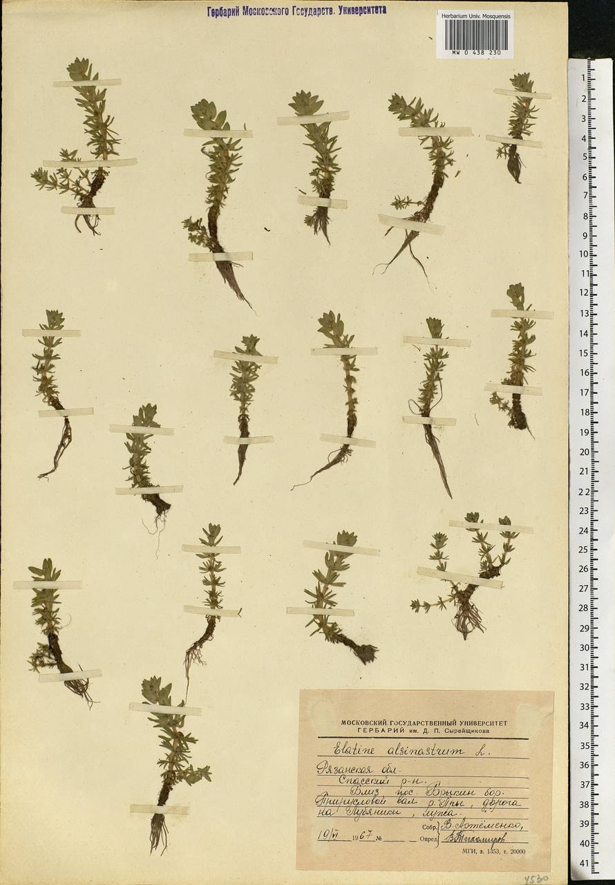 PV контроллер заряда ls1024rp