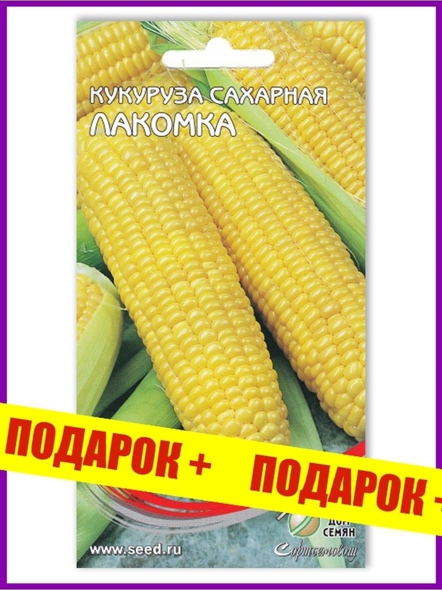 Кукуруза супер Санданс f1 описание