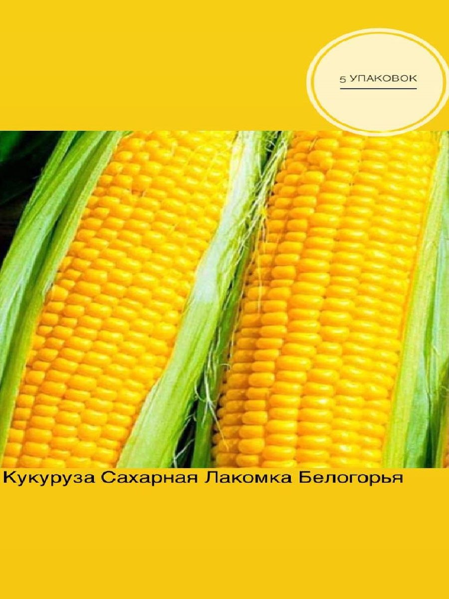 Однолетняя кукуруза сахарная