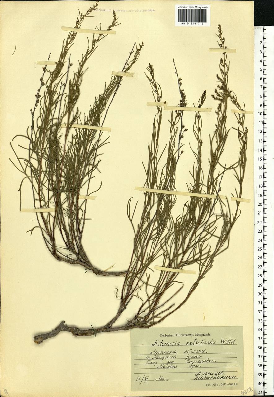 Полукустарник Терескун