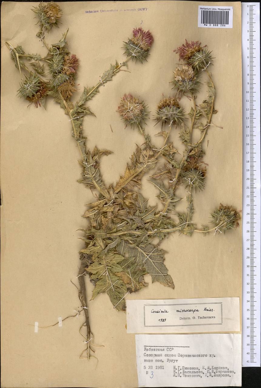 Карелия топи клюква