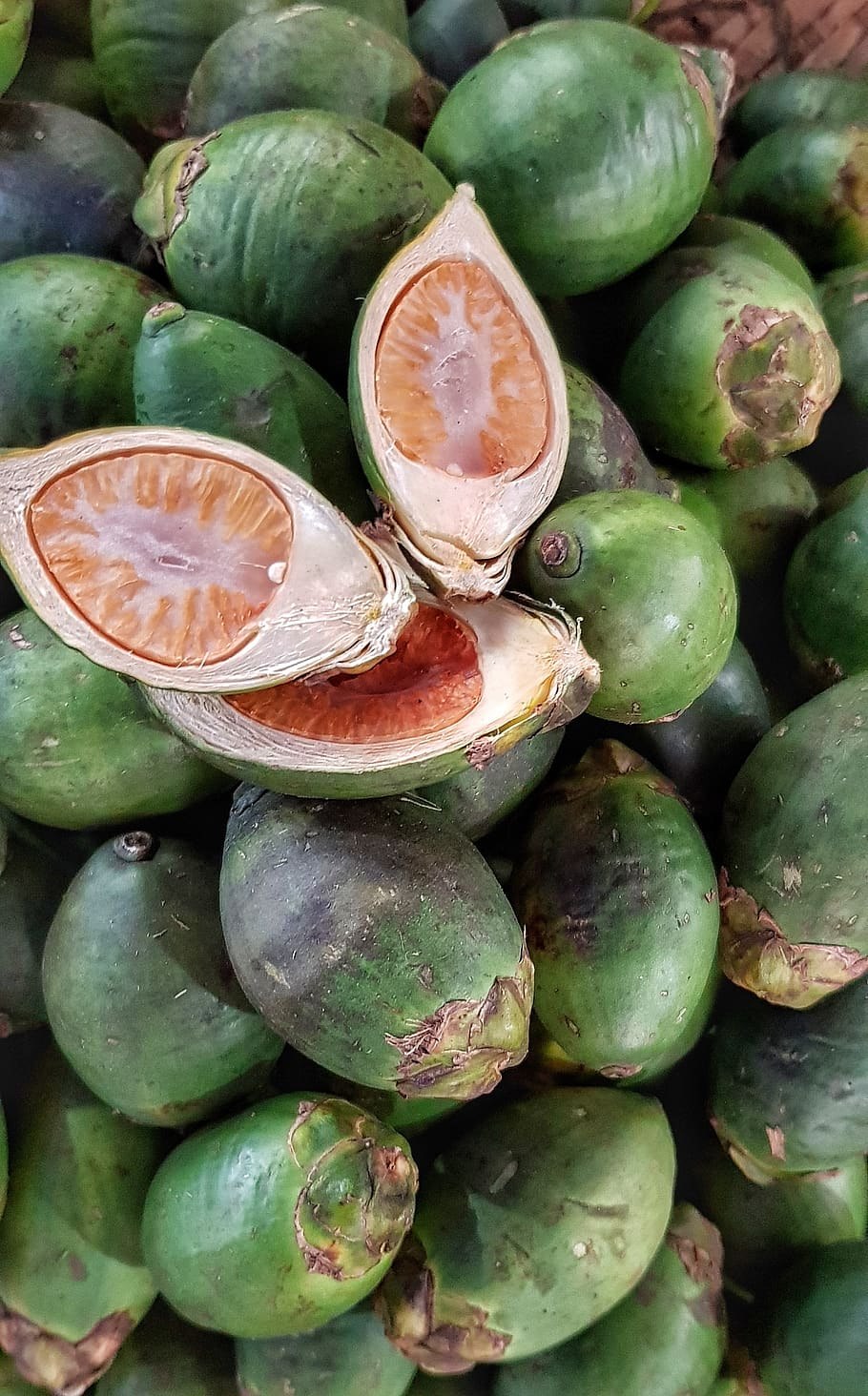 Бетель девушка