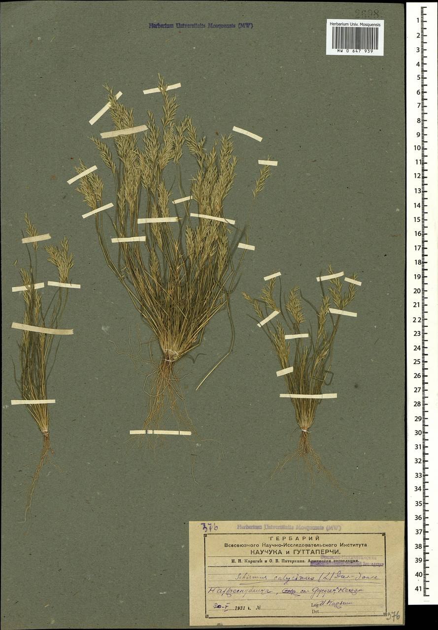 Алюминий 0881 pe