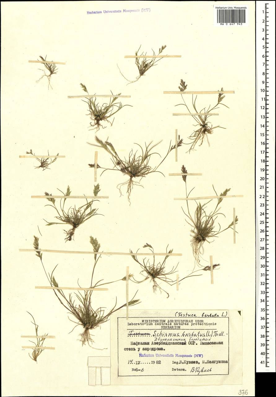 5320-1602512 Цилиндр сцепления главный КАМАЗ