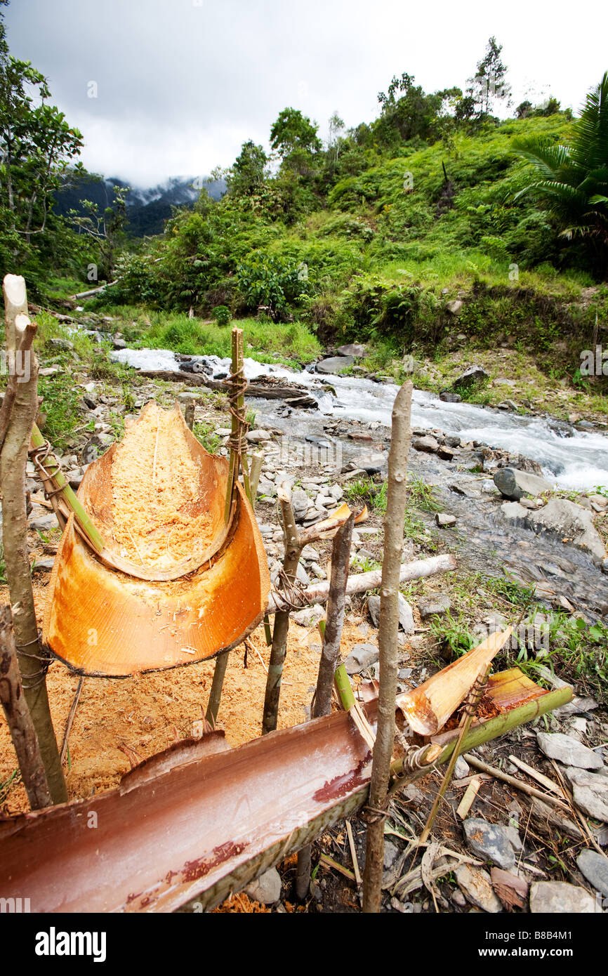 Метроксилон