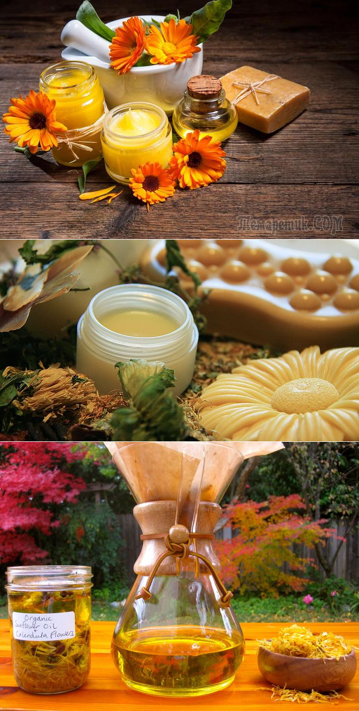 Экстракт календулы в народной медицине