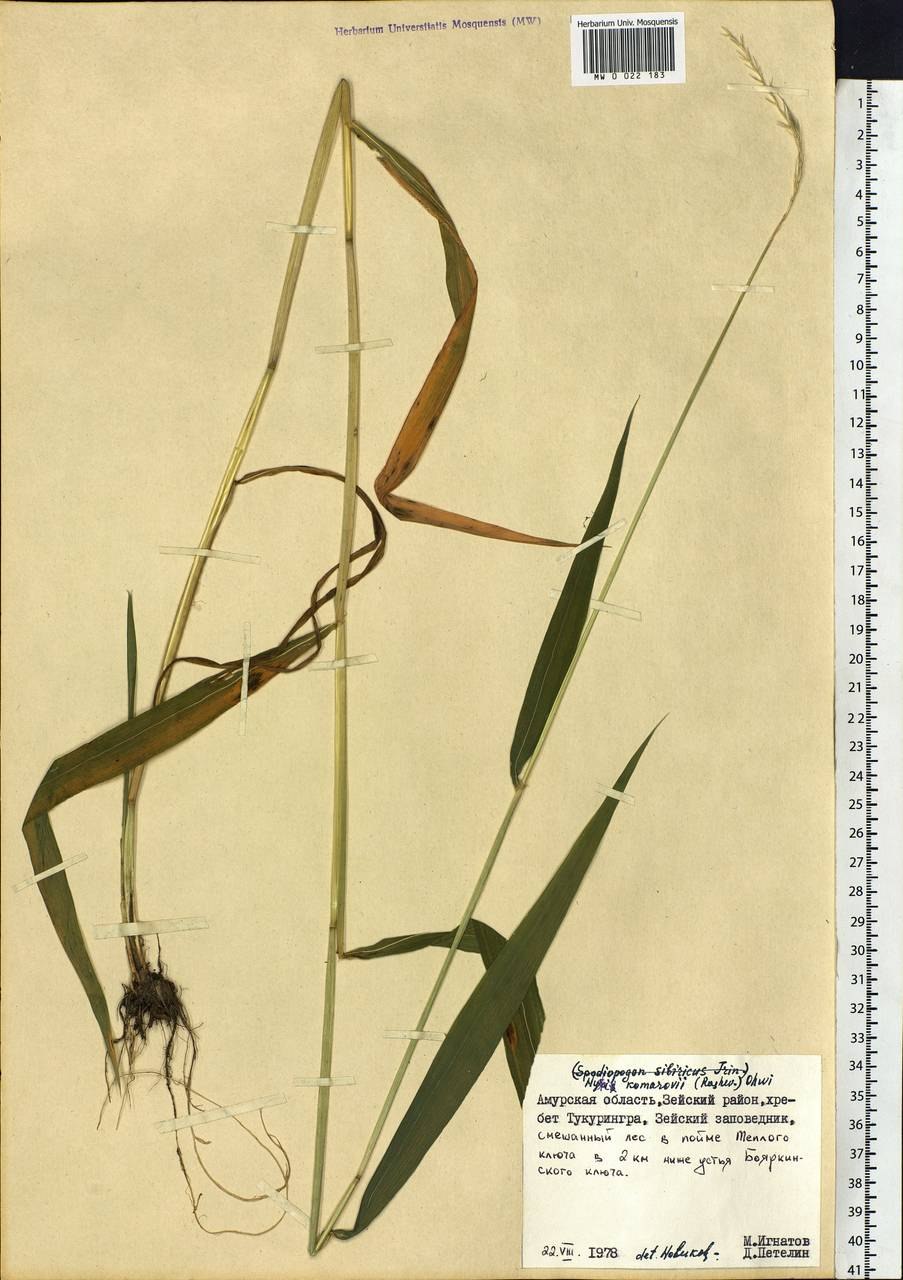 Тир для стрельбы из лука