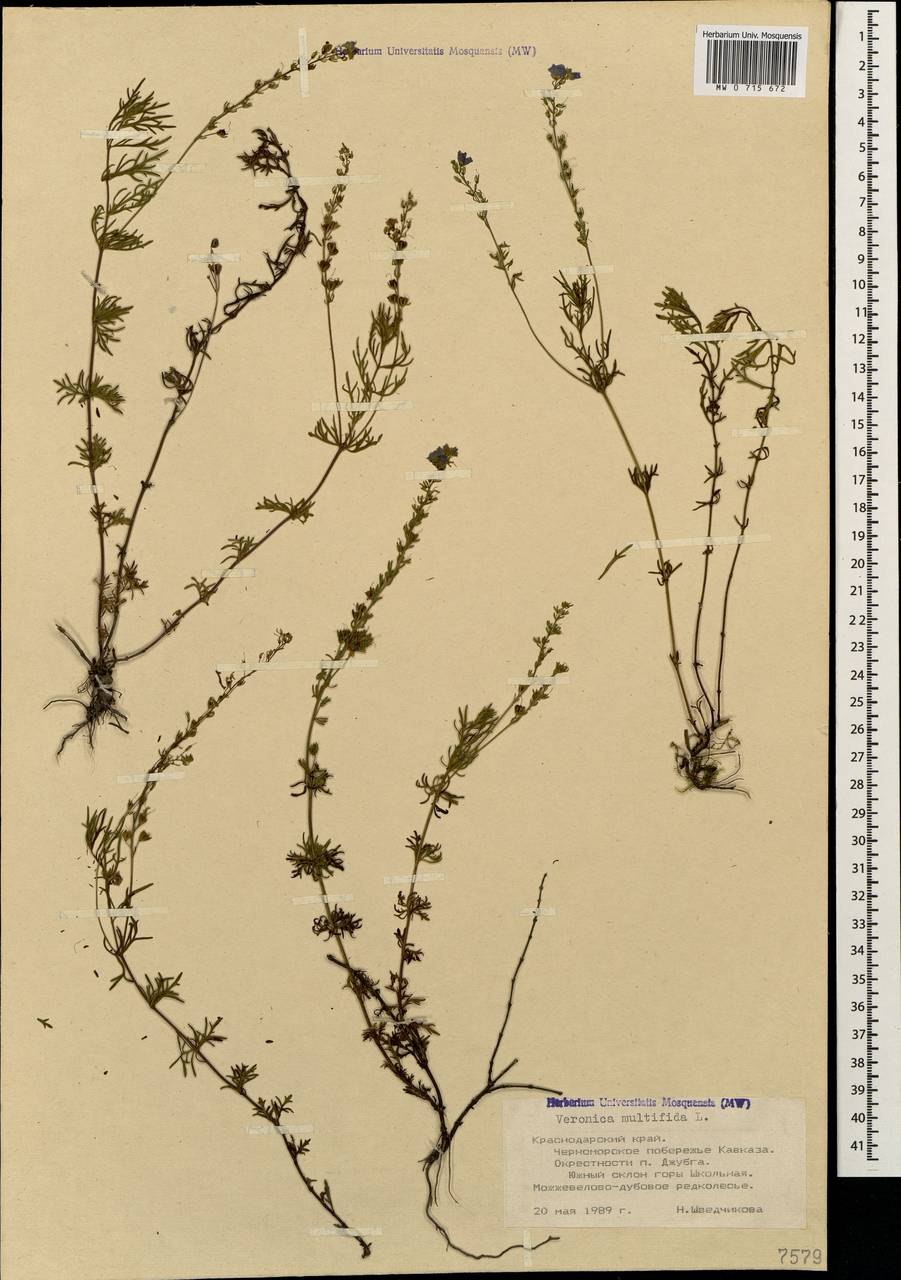 Брелок-пейджер Mongoose LS 9000d