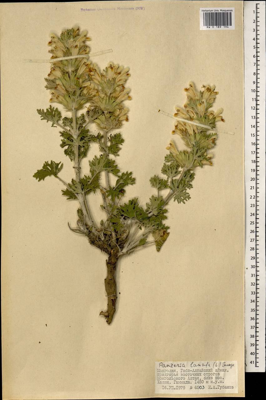 Бальзамы Короткова