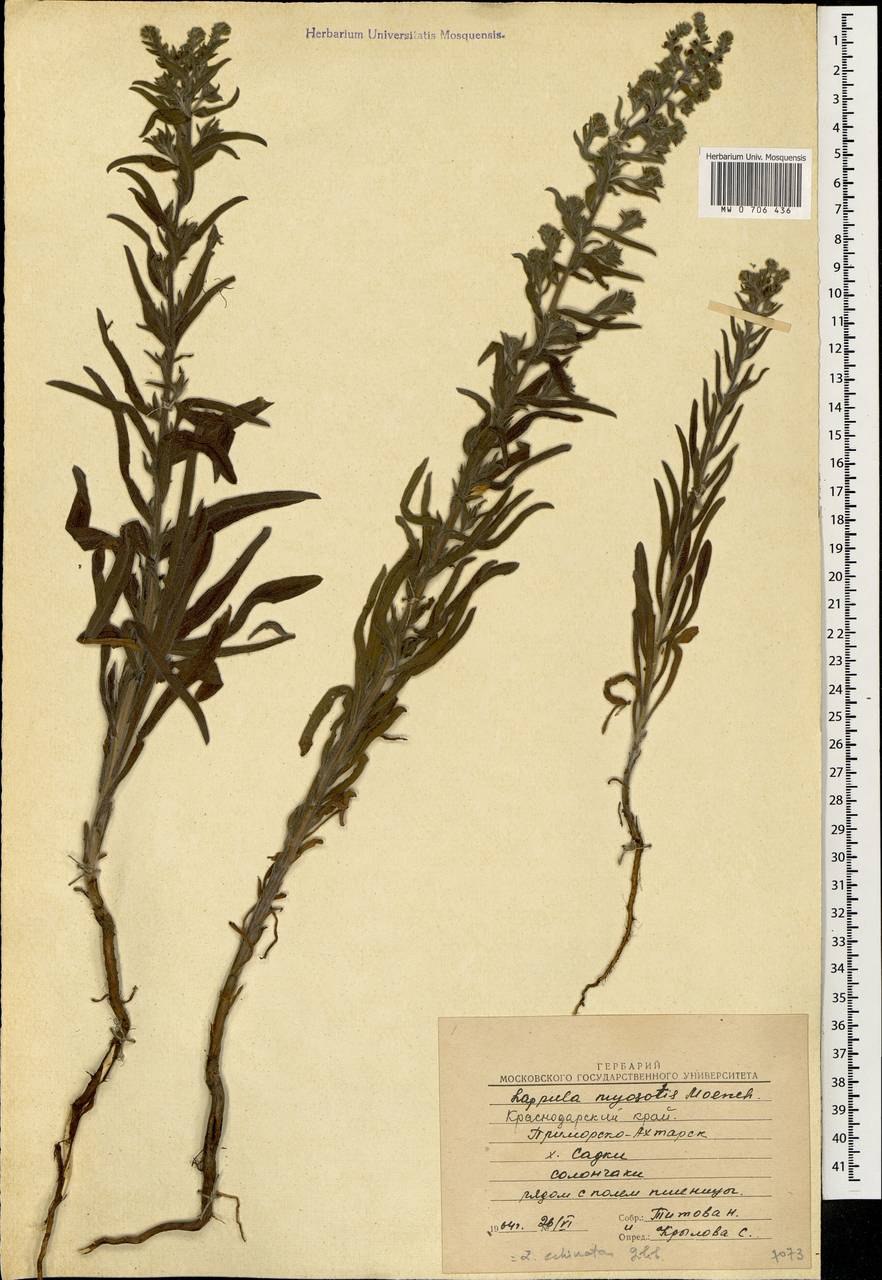 Липучка f 273