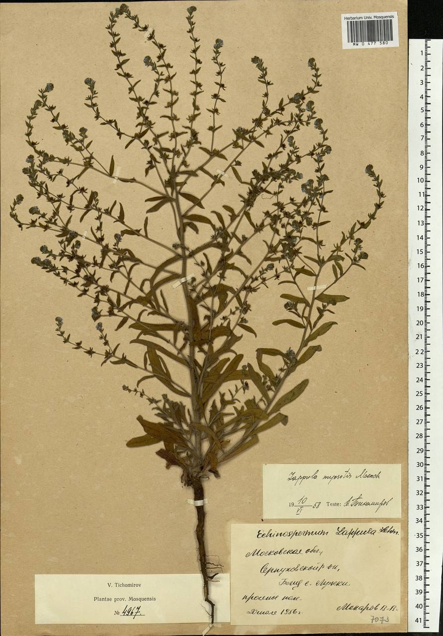 Pl9650 лента-липучка стяжка 5м х 25мм черная